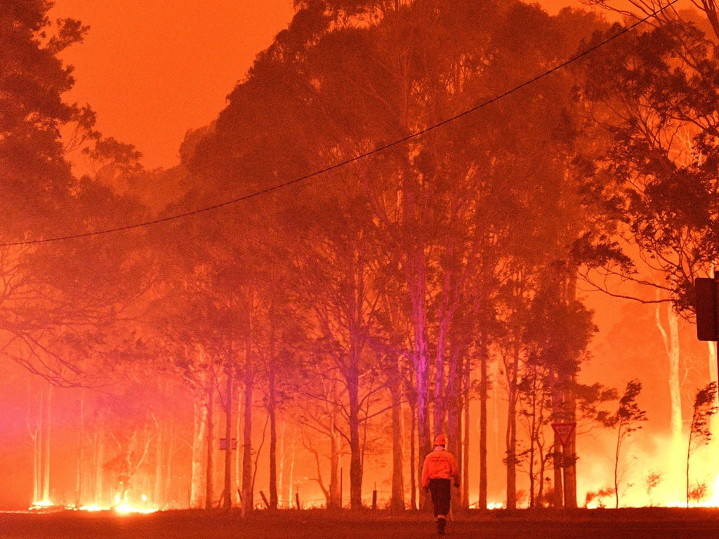 Support those affected by the Australia bushfires, donate now - Back Bone BMX