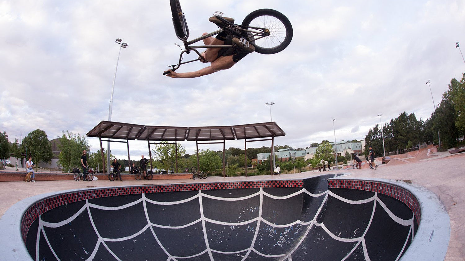 Top 5's with Chris Harti - Back Bone BMX