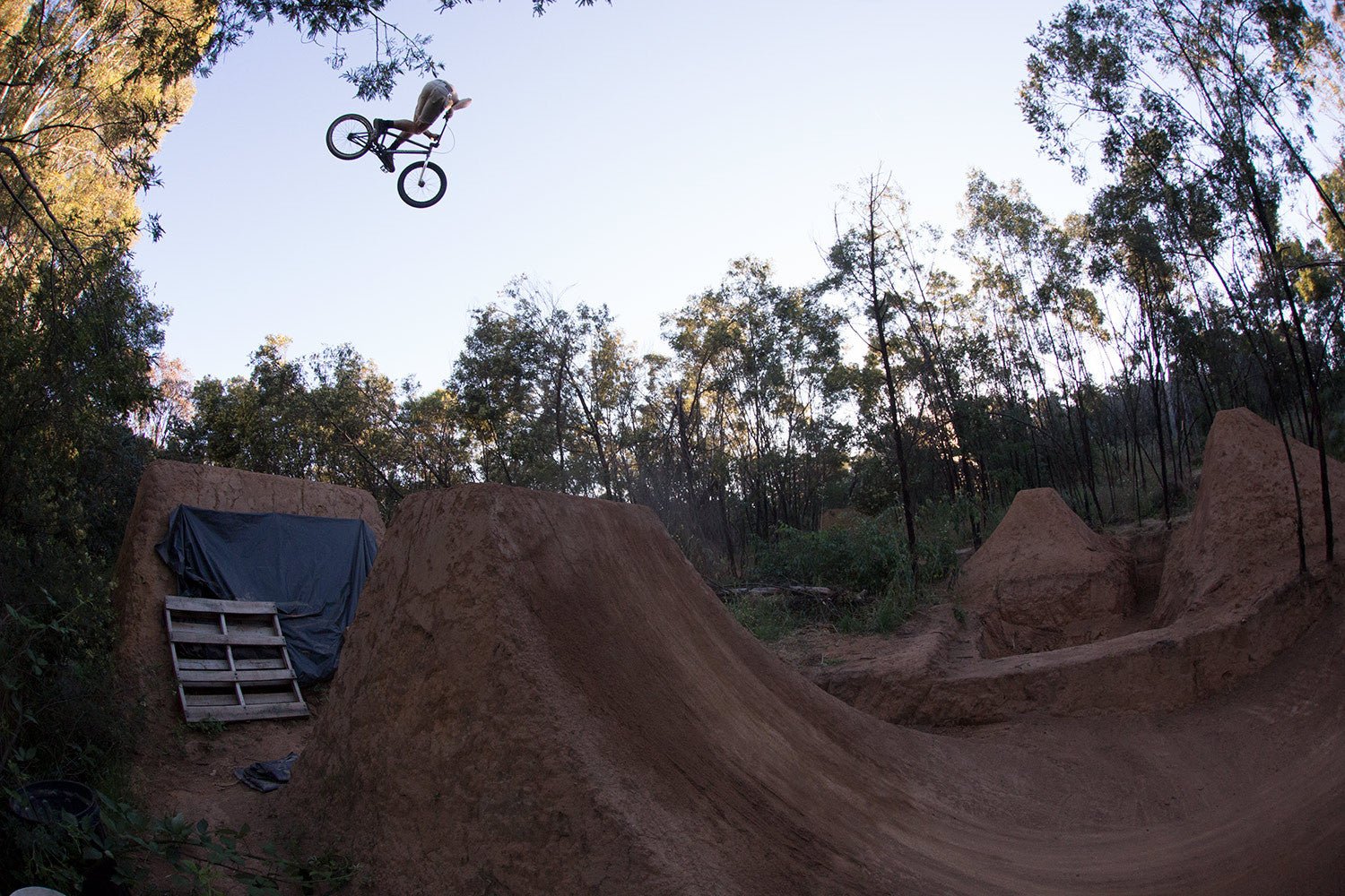 The Back Bone Video - Chris Harti Section - Back Bone BMX