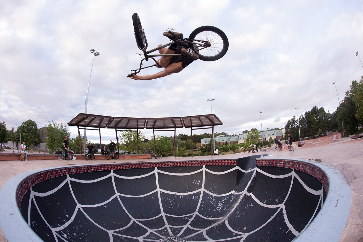 Top 5's with Chris Harti - Back Bone BMX