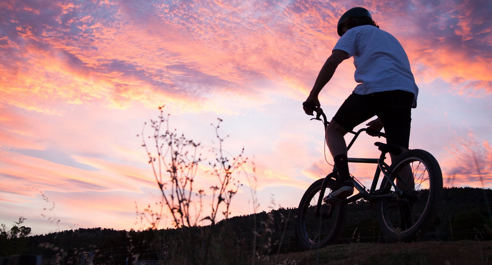 NEW ARRIVALS - Back Bone BMX