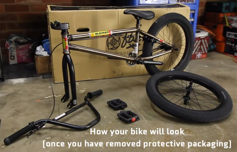 Professional Bike Build - Back Bone BMX