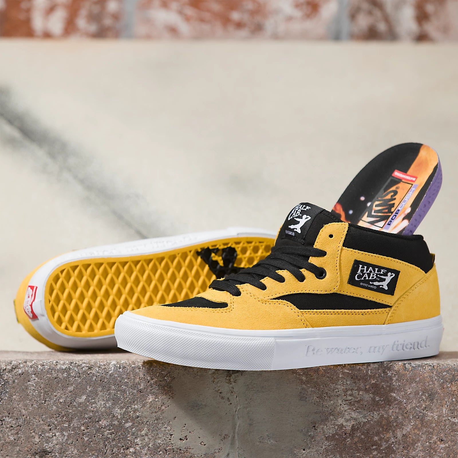 Vans Bruce Lee Half Cab shoes Buy now at Back Bone BMX